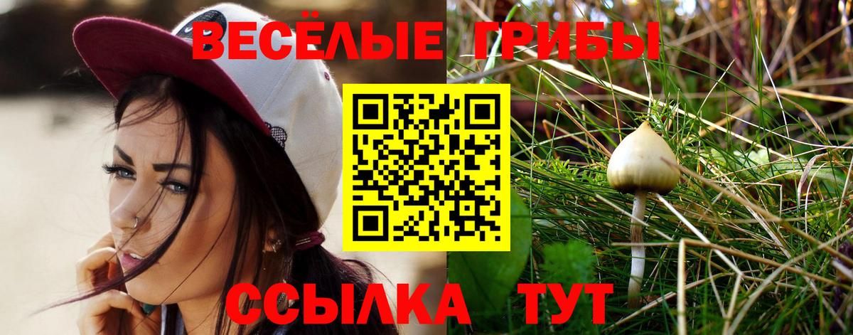 Подольск  Псилоцибиновые грибы Psilocybe  Вход с VPN  Псилоцибиновые грибы мицелий 